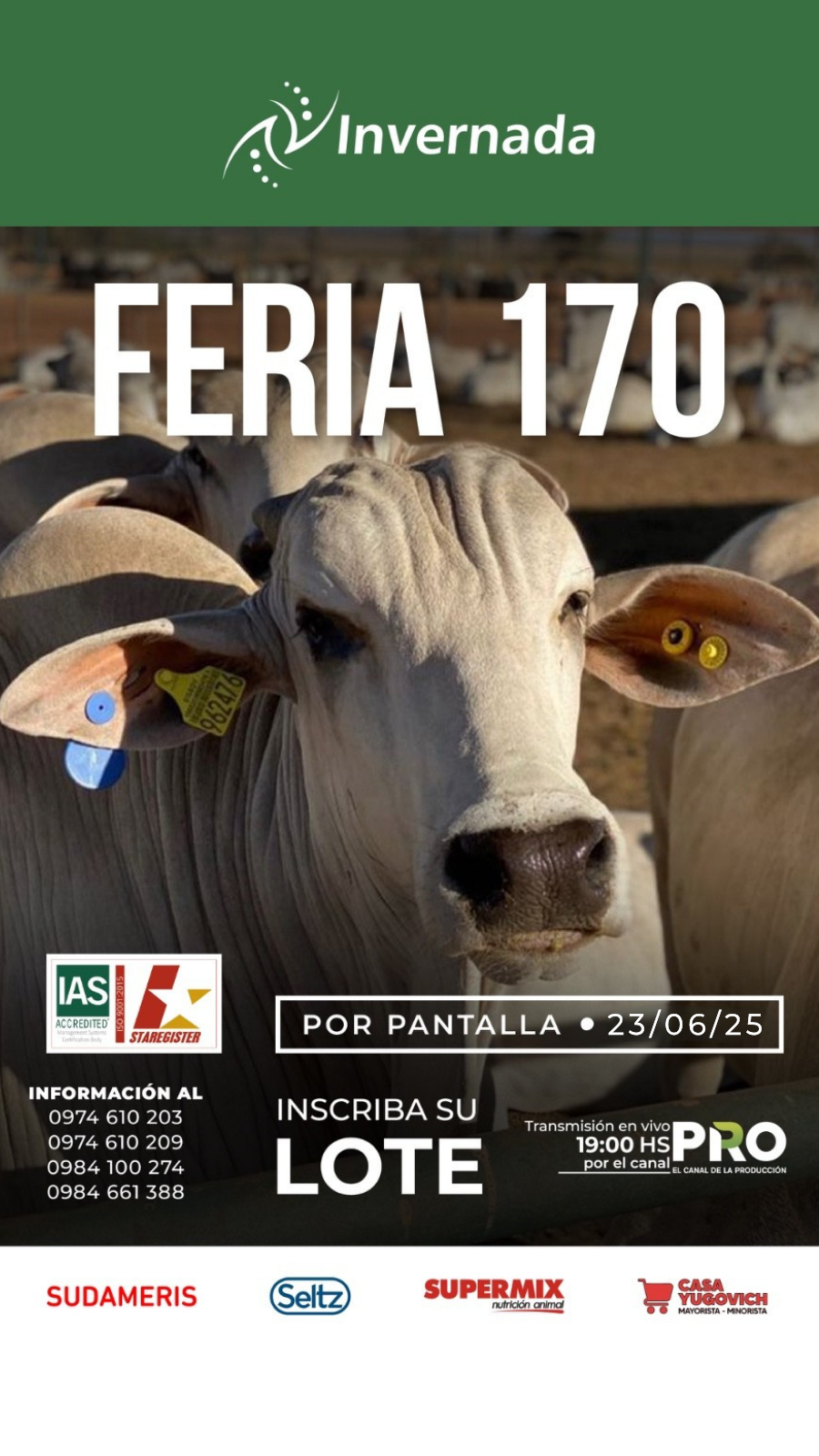 Imagen 2