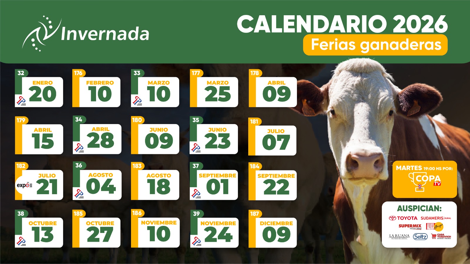 Imagen 3