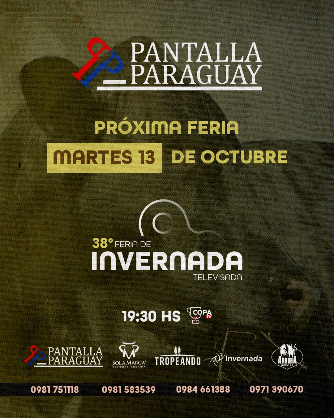 Imagen 2